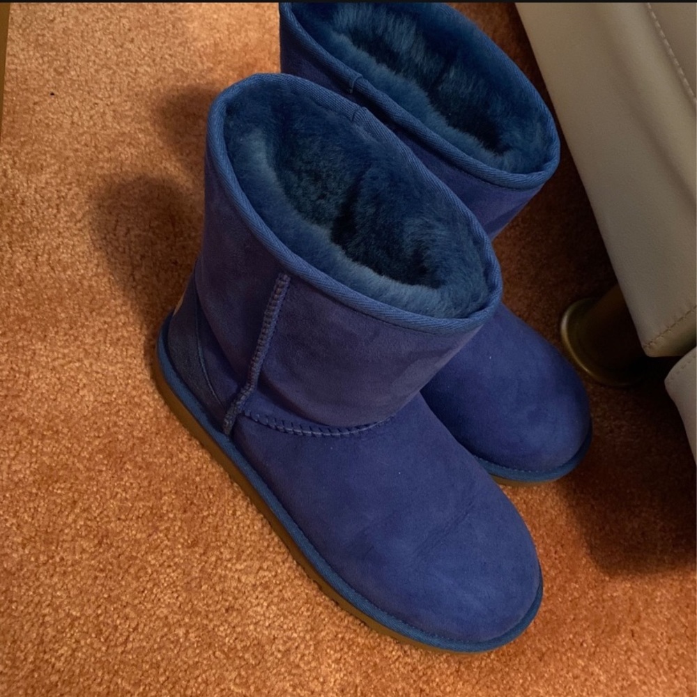Royal blue uggs